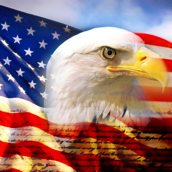 Meet your Posher, Tony - Picture 1 of 1